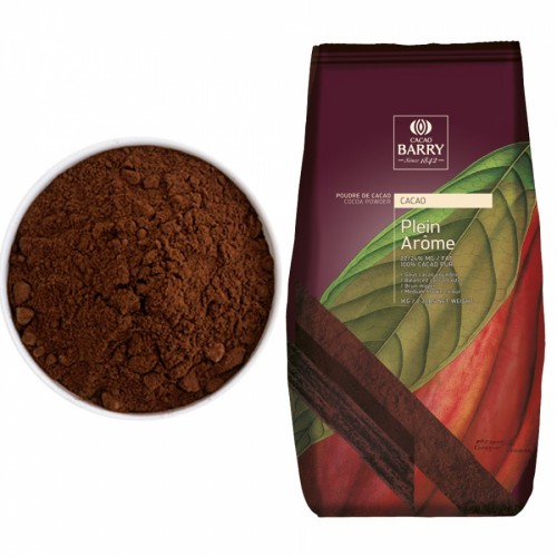 Какао-порошок алкализованный Plein Arome "Cacao Barry" 22-24% (1 кг)