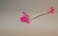 Тычинки для цветов (розовые) 25шт