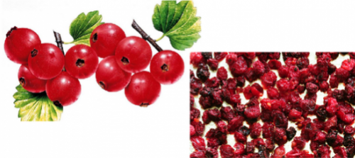 Сублимированная смородина красная (цельная ягода) (25 гр)