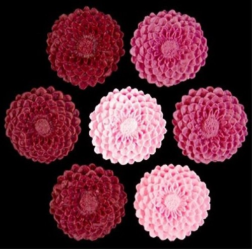 Сахарные цветы "Георгины" розовые 34шт
